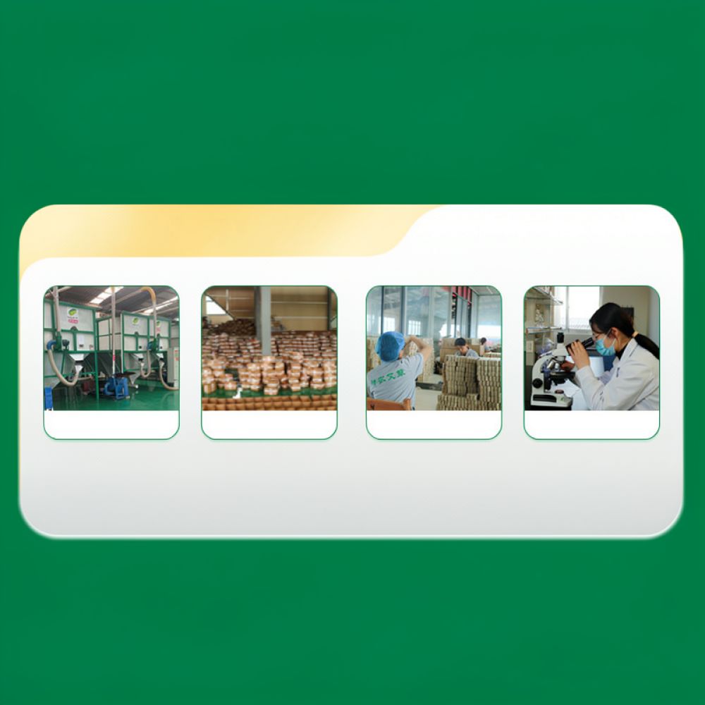 Bastão de Moxa Carbonizado Sem - Therapy Health And Wellness avaliação e preço